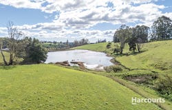 214 Mathinna Plains Road, Ringarooma, Tas 7263
