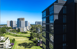 604/12 Shirley Street, Carlingford, NSW 2118