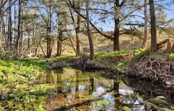 1302 Red Hill Road, Upper Turon, NSW 2795