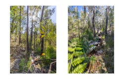 Lot 6 of Lot 33 Little Forest Road, Little Forest, NSW 2538
