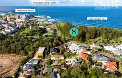 20 Hillview Crescent, The Hill, NSW 2300