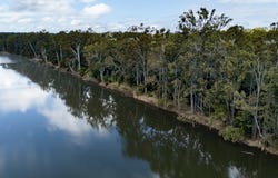 66 Waylen Road, Owanyilla, Qld 4650
