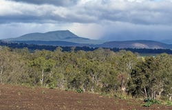 Harrisville, Qld 4307