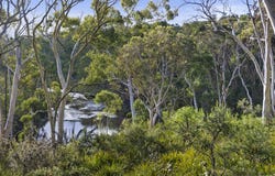 26 Berrima Drive, Berrima, NSW 2577