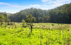301 Bakers Road, Putty, NSW 2330