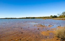 614 Greens Beach Road, York Town, Tas 7270