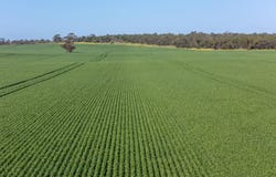 Lot 22 South Bremer Road, Hartley, SA 5255