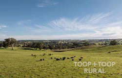 Lot, 197 Craneford Road, Flaxman Valley, SA 5235