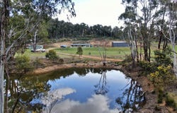 1809  Numeralla Road, Cooma, NSW 2630