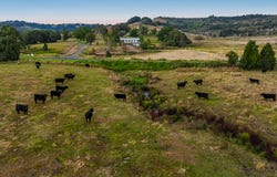 167 Lockton Road, Numulgi, NSW 2480