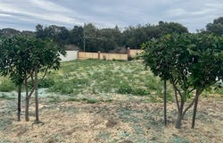 22 Wayford Circle, Hocking, WA 6065