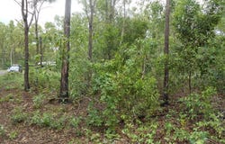 16 Head Court, Wagait Beach, NT 0822