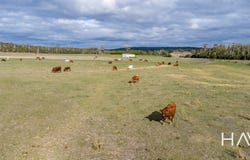 93 Douglas Road, Lefroy, Tas 7252