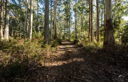 Weetah Road, Weetah, Tas 7304
