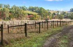 120 Channel Road, Silvan, Vic 3795