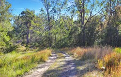 97 Myall River Road, Bulahdelah, NSW 2423