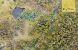 1013 Bigga Road, Crooked Corner, NSW 2583