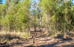 2197 Myall Creek Road, Bungawalbin, NSW 2469