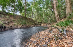 1609 Peachester Road, Peachester, Qld 4519