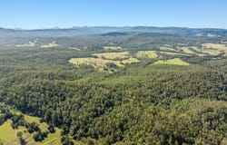 118 Provians Road, Sextonville, NSW 2470