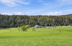 144 Burns Road, Wyena, Tas 7254