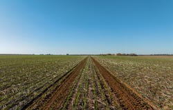 609 Barragunda Road, Urana, NSW 2645