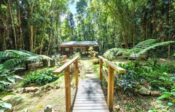 6 Sandalwood Close, Kuranda, Qld 4881
