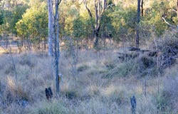 (Lot 13) - 45 Walkers Rd, Ballogie, Qld 4610