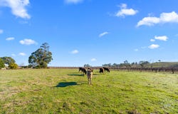 169 Jungfer Road, Charleston, SA 5244