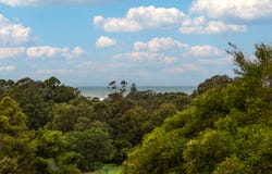 6/20 Dido Street, Kiama, NSW 2533