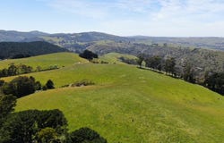 44 Beanhams Road, Wonga, Vic 3960