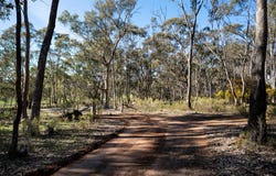 536 Muckleford-Castlemaine Road, Muckleford, Vic 3451