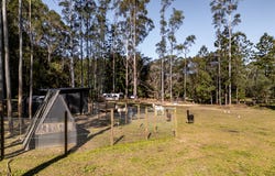 2033 Coolamon Scenic Drive, Mullumbimby, NSW 2482