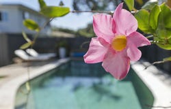 13 Wallimbi Avenue, Bellara, Qld 4507