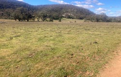 1950 FLAGGS ROAD, Gungal, NSW 2333