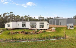 444 Allison Road, North Motton, Tas 7315