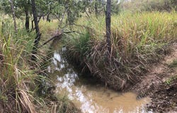 Lot 154 / 764 Hodzic Road, Biboohra, Qld 4880