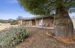23 Cucumunga Street, Renmark, SA 5341