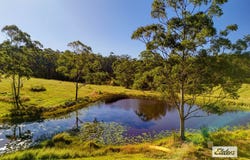 811 Newmans Road, Topi Topi, NSW 2423