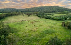 24 Petersen Road, Koumala, Qld 4738