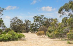Stage 2A Preston River Rise, Boyanup, WA 6237