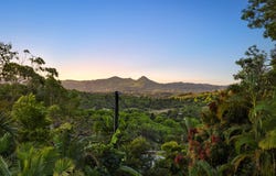 600 Coolamon Scenic Drive, Coorabell, NSW 2479