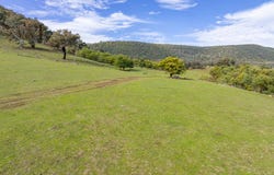 'Part Wattle Valley' Kangarooby Road, Gooloogong, NSW 2805