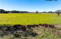 154 Scabben Flat Road, Taralga, NSW 2580