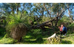 Lot 373 Yanchep Junction, Yanchep, WA 6035