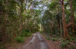 489 Old Caloundra Road, Glenview, Qld 4553