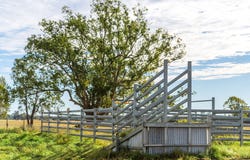 Sherrys Lane, Cowper, NSW 2460