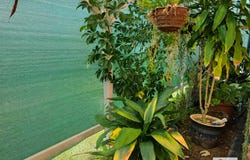 20 Colamba Street, Miles, Qld 4415