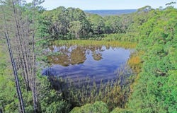 2815D Bells Line Of Road, Bilpin, NSW 2758