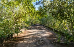 40 Spencer Road, Darwin River, NT 0841